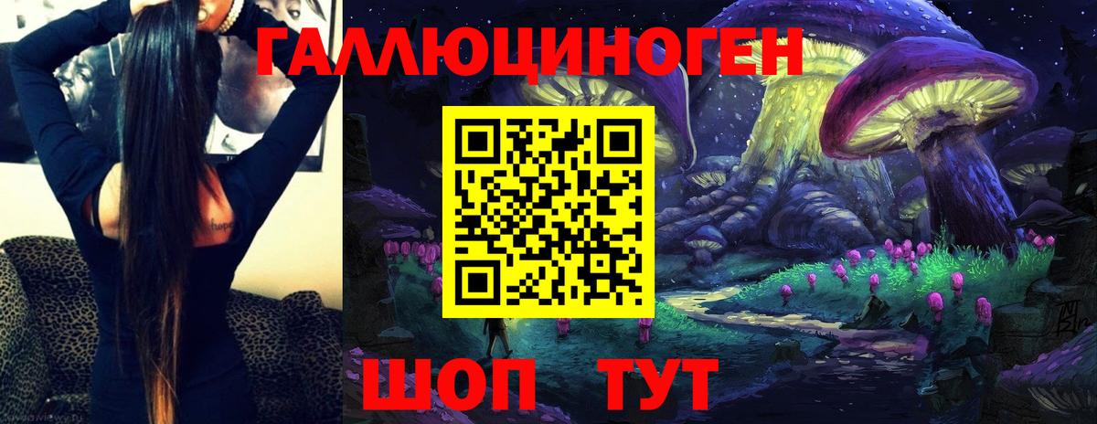 Галлюциногенные грибы Psilocybe Славянск-на-Кубани